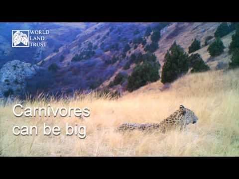 Education - All Living Things