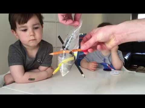 Plastic bag science experiment for kids