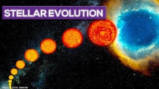 Stellar Evolution| The Life and Death of Stars