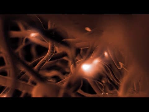 Where Do You Go When You Go To Sleep