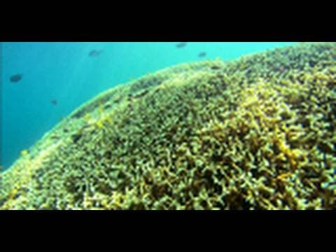 Earth : Water,Water EveryWhere