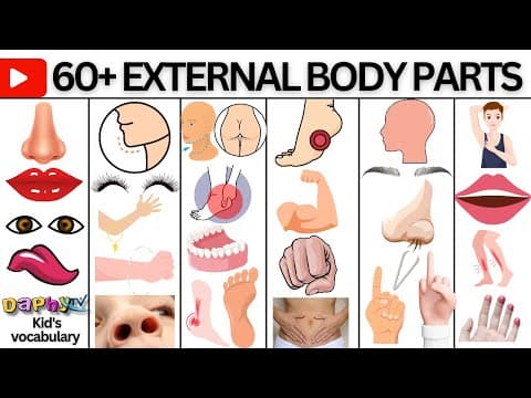 Body Parts | Parts of the Body in English | Listen And Practice