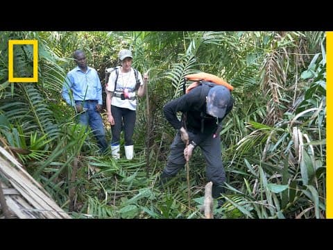 Why are peatlands so important.