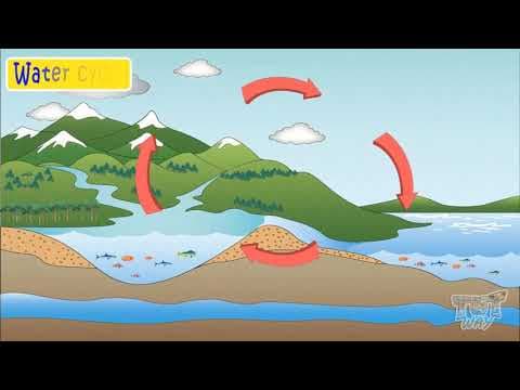 Parts of Water Cycle | Science