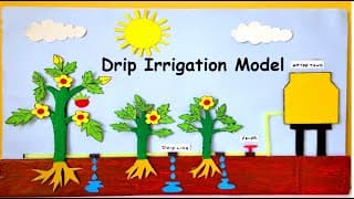 drip irrigation model for school project | science fair model
