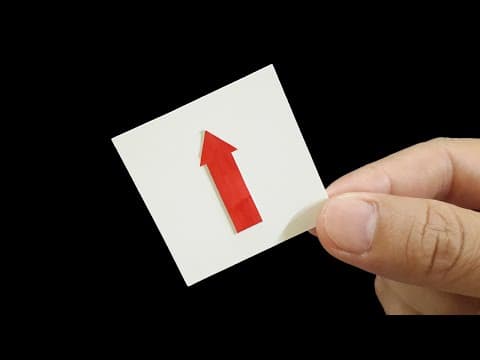 One of The Best Optical Illusion