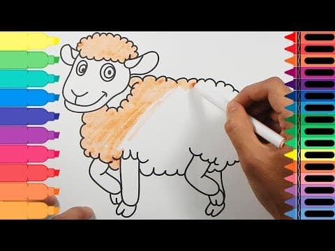How to draw sheep - coloring pages sheep for baby - how to draw animals for kids
