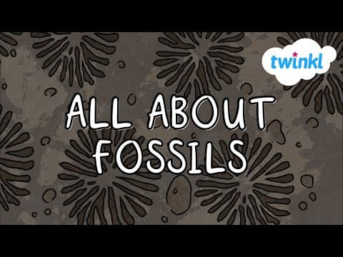 What are Fossils for Kids | Twinkl USA