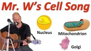 The Cell Song Plant and Animal Cells