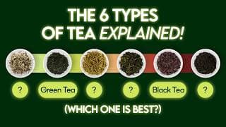 6 Types of Tea - Different Tea Types Explained