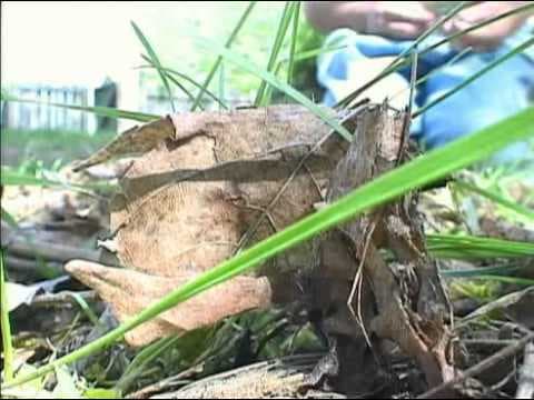 Exploring Small Places