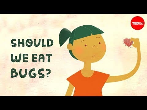 Should we eat bugs.