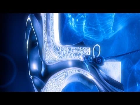 How Can You Instantly Guess Someone's Age