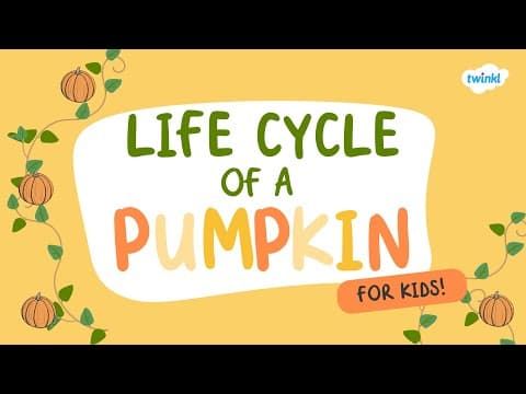 Life Cycle of a Pumpkin for Kids | Learn About Pumpkins | Twinkl USA