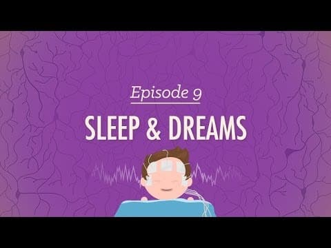 To Sleep, Perchance to Dream: Crash Course Psychology #9 - YouTube