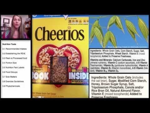 Nutrition Tools: Real vs Processed Food