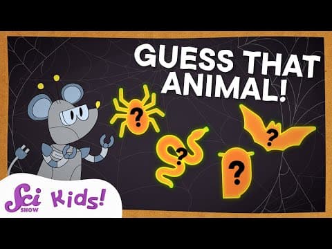 Not-So-Creepy Creatures! | Halloween Guessing Game | SciShow Kids Compilation - YouTube