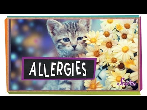 Why Does Springtime Make Me Sneeze? | Body Science for Kids