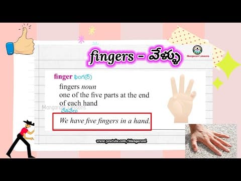 Learn a word a day, level 1 