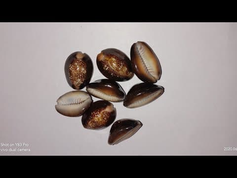 Juvva aata || Pedha baara katta || 8 gavvala aata || Big ashta chamma || Indian board game