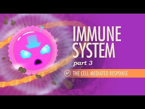 Immune System, Part 3: Crash Course Anatomy & Physiology #47 - YouTube