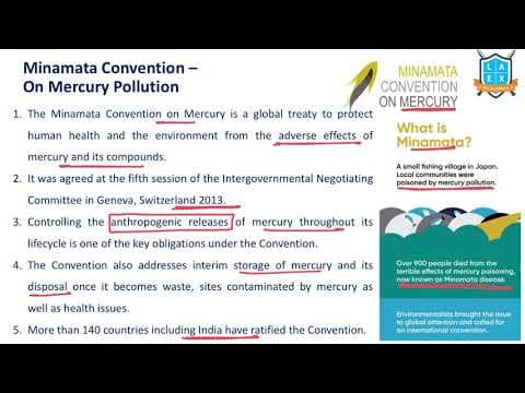 What is Minamata Convention on Mercury Pollution ? || Minamata Convention అంటే ఏమిటి?