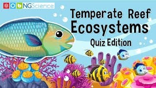Temperate Reef Ecosystems