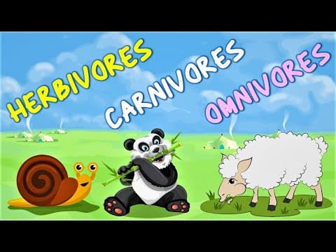 Herbivores Carnivores and Omnivores for kids | Animals Eating Habits with example