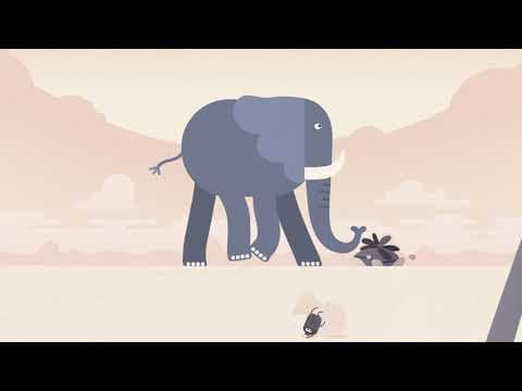 Meditation is all about practice two animal-themed animations for all ages