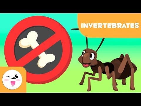 Invertebrate animals for kids - Introduction