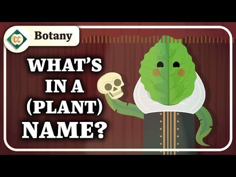 How Do We Categorize Plants?: Crash Course Botany #7