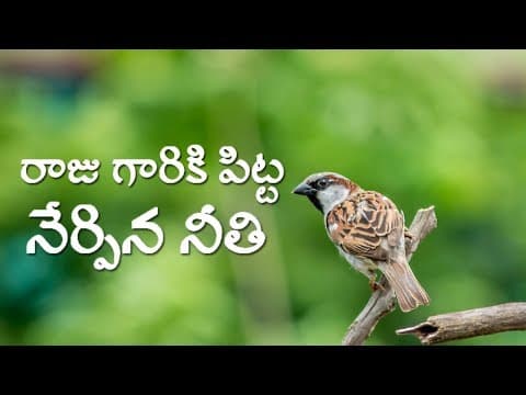 రాజు గారికి పిట్ట నేర్పిన నీతి - జీవితంలో ముందుకెల్లలి వెన్నక్కి కాదు