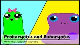 Are You Team Prokaryote or Team Eukaryote?