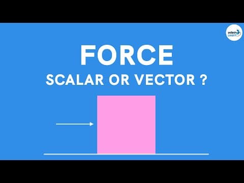 Force - Scalar or Vector || Force and Laws of Motion