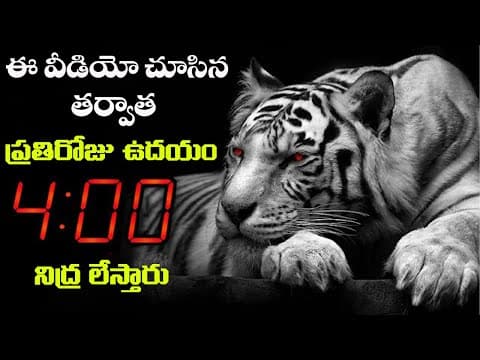 ప్రతి రోజు ఉదయం 4:00 గంటలకు లేవడం మీ జీవితాన్ని మారుస్తుంది | 4 AM Wake Up Motivation in Telugu