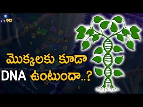 మొక్కలకు కూడా DNA ఉంటుందా..? | Do Plants Have DNA..? | Eyecon Facts