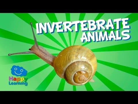 Invertebrate Animals | Educational Video for Kids