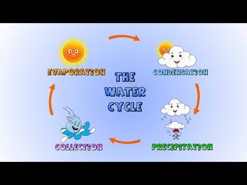 The Water Cycle- How rain is formed-Lesson for kids