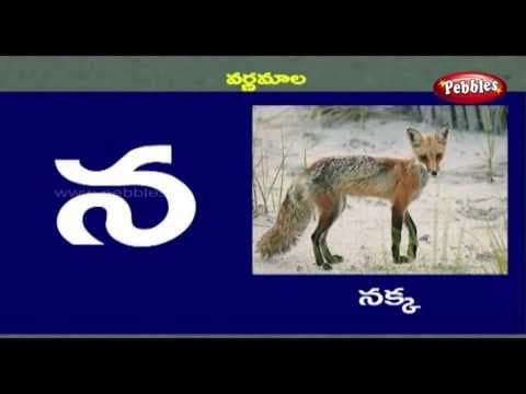 Alphabets learning video