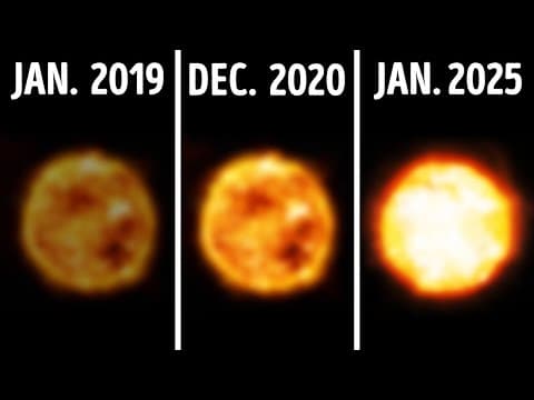 How Active Will the Sun Get