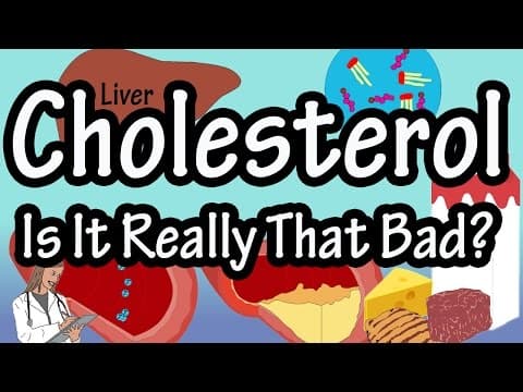 Cholesterol - What is Cholesterol - Why Is Cholesterol Bad - Types Of, Good And Bad Cholesterol