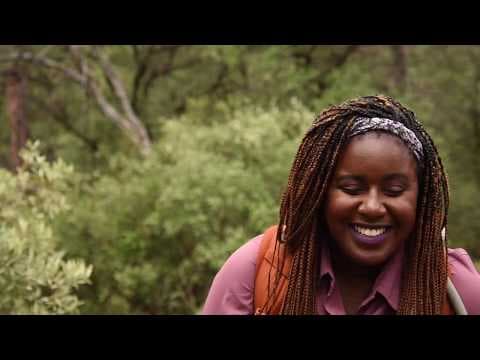 What does a herpetologist do with a lizard once she's caught it