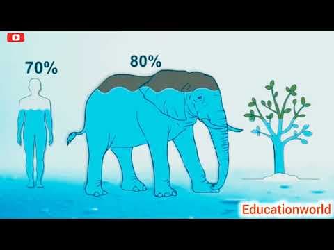 Water ! Importance of water ! Source of water ! Use of water ! Netural water ! Ground water table !!