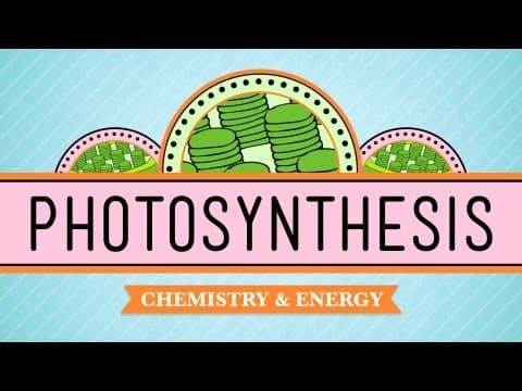 Photosynthesis: Crash Course Biology #8 - YouTube