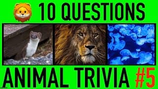ANIMAL TRIVIA QUIZ | Animals General Knowledge Trivia Questions and Answers Challenge