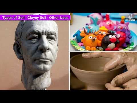 Soil | Science for Kids | Grade 3 | Periwinkle