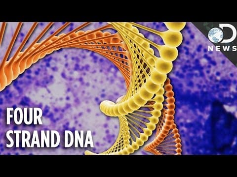 What Is 4-Strand DNA & Why Are Scientists So Excited?