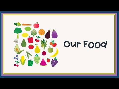 Our Food