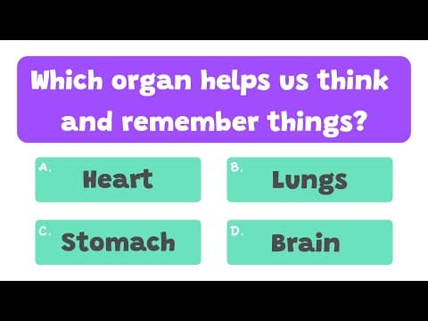 Parts of the Body Quiz | Body Parts Quiz | Human Body Quiz | Quiz Time