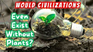 Could We Even Survive Without Plants